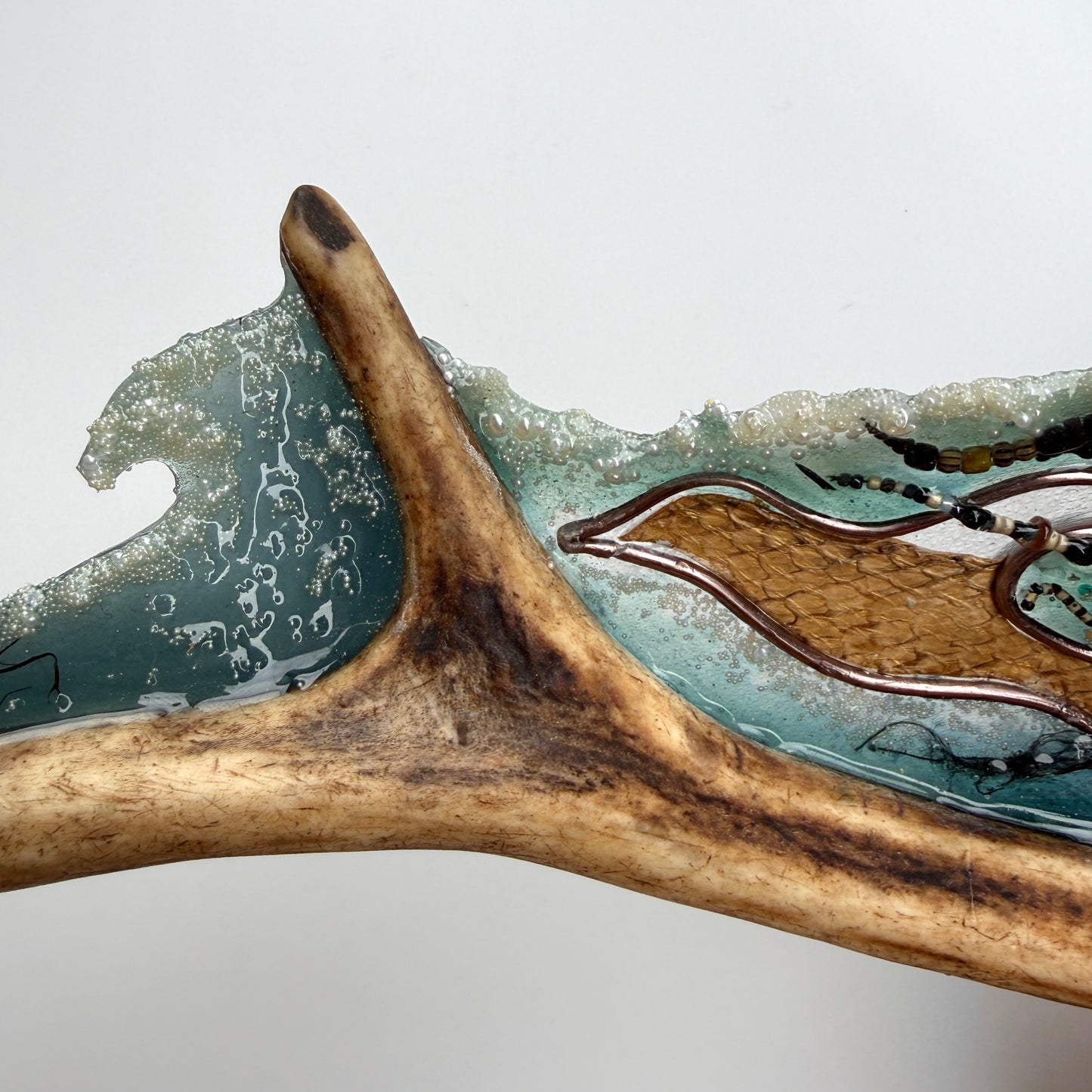 sedna in antler