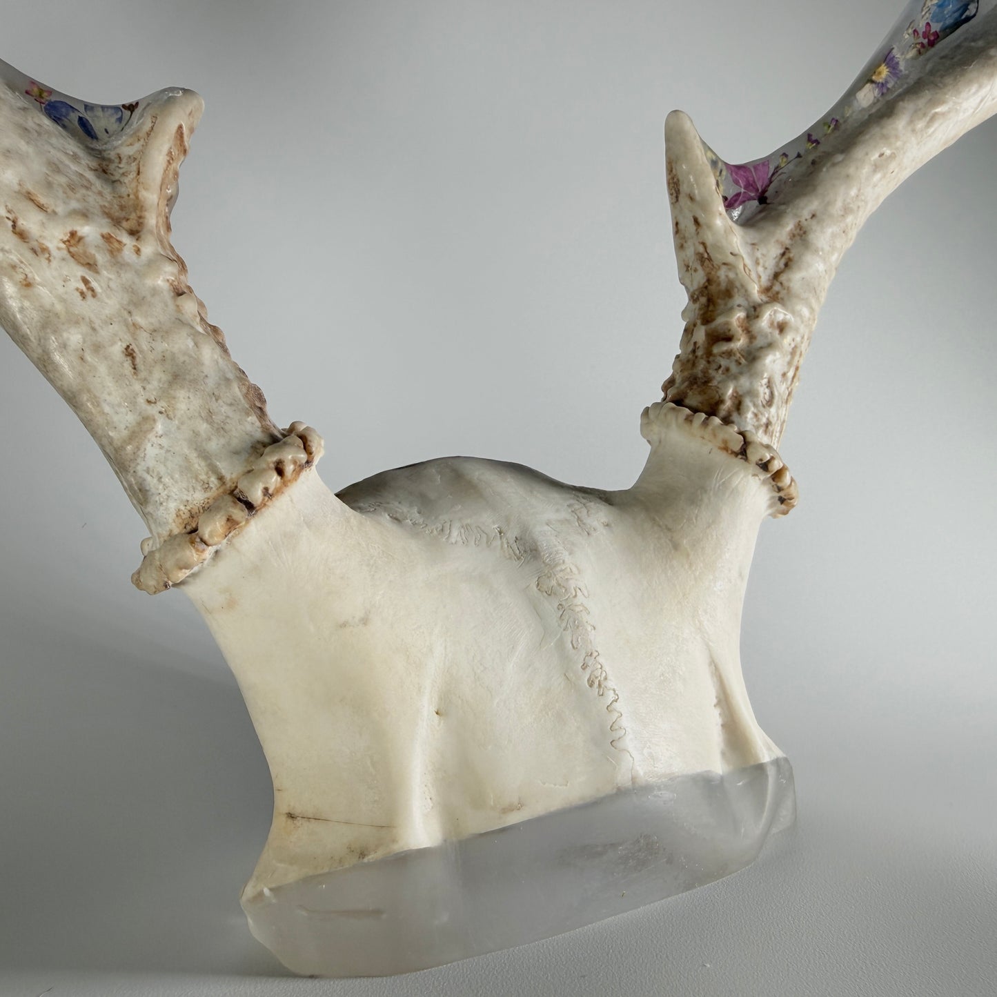 wildflower antler sculpture