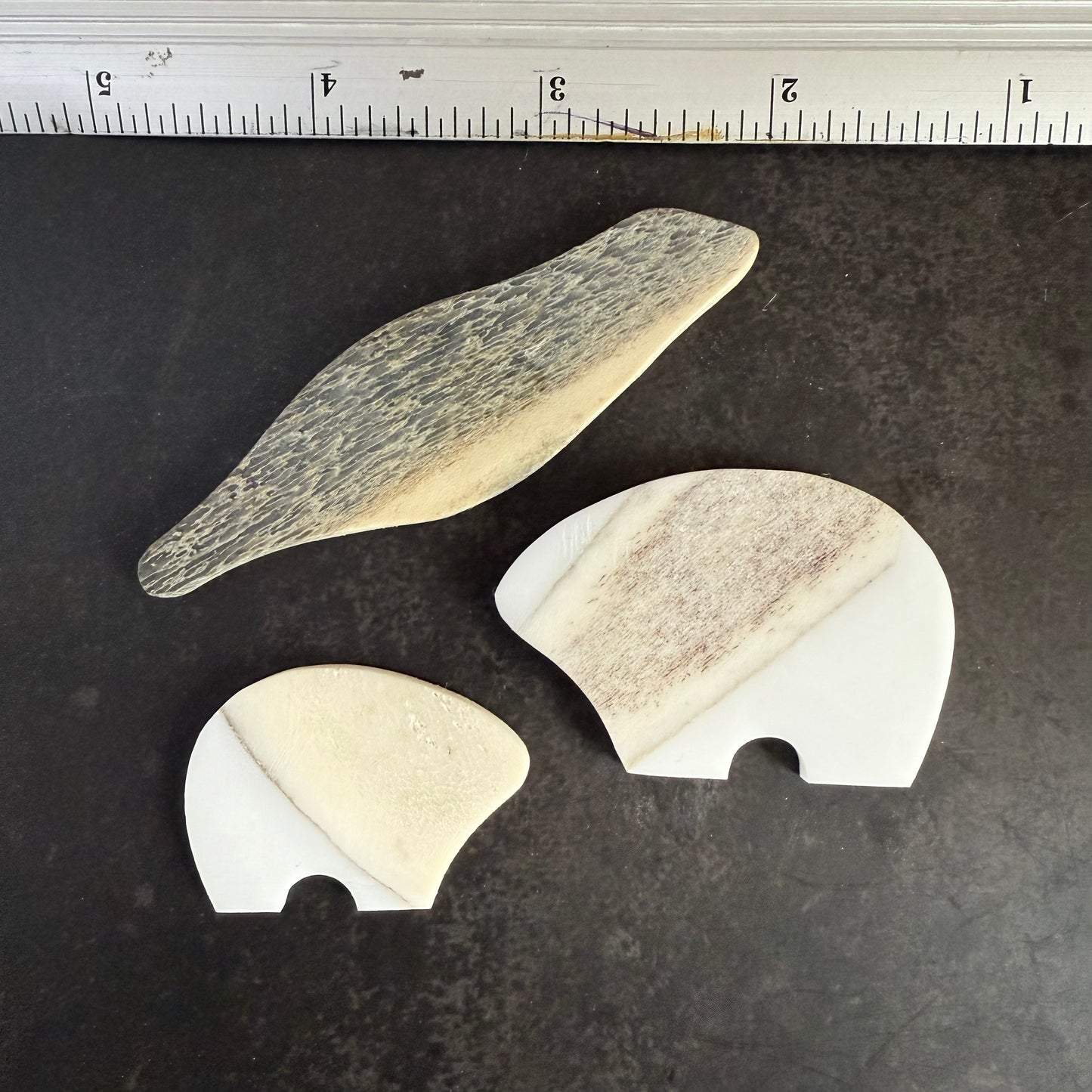 bear/seal/tusk earrings - purple/blue confetti flower earrings