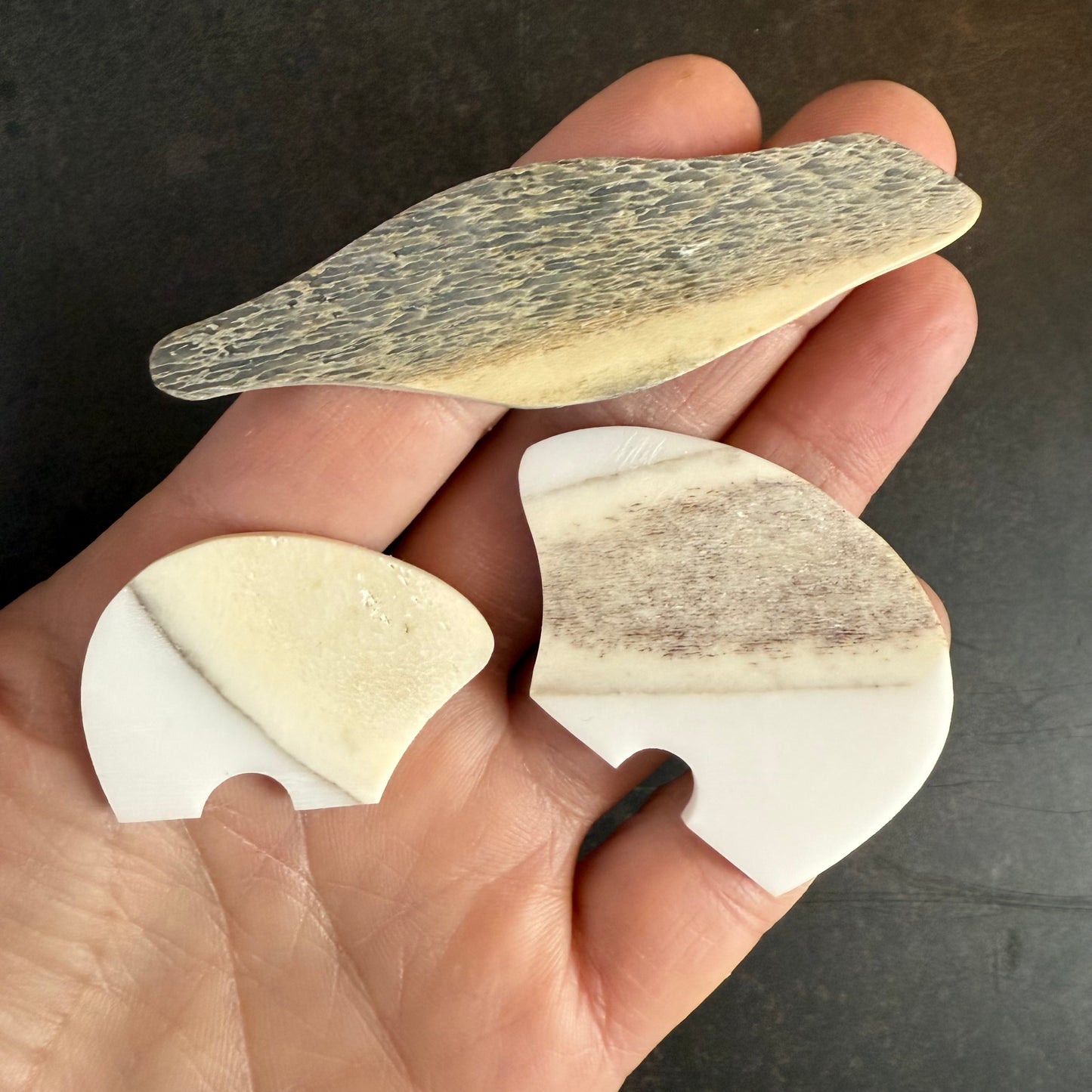 bear earrings - multi-colour - small or regular size