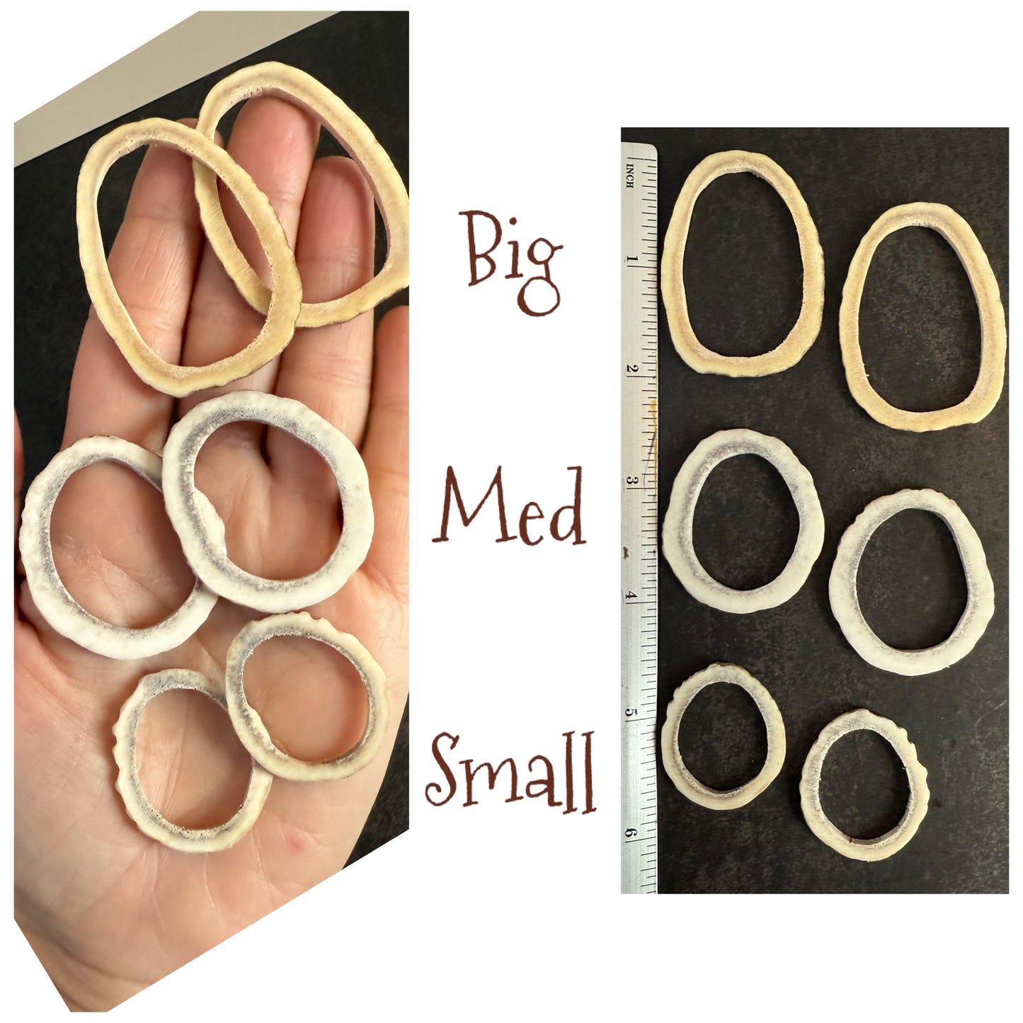 bear/seal/natural/V's - gold tattoo earrings