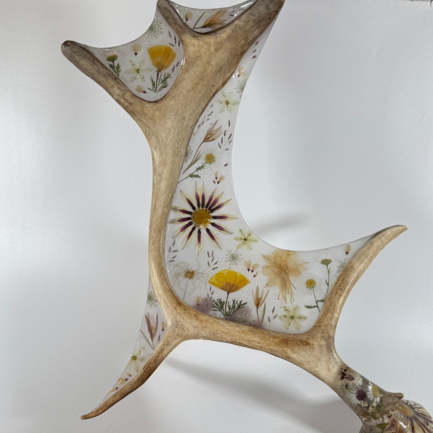 antler sculpture