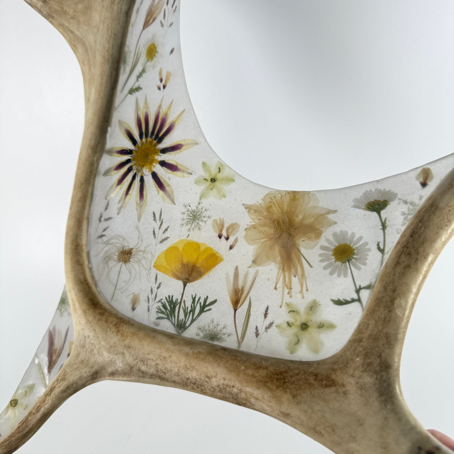antler sculpture