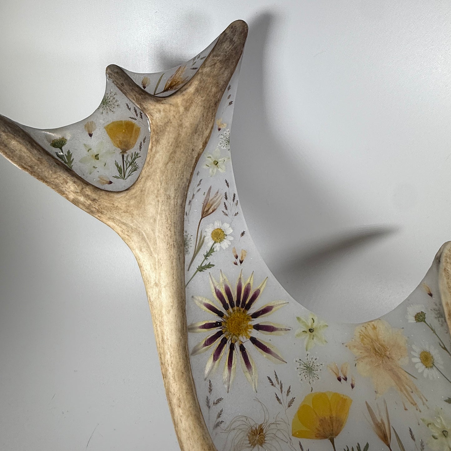 antler sculpture