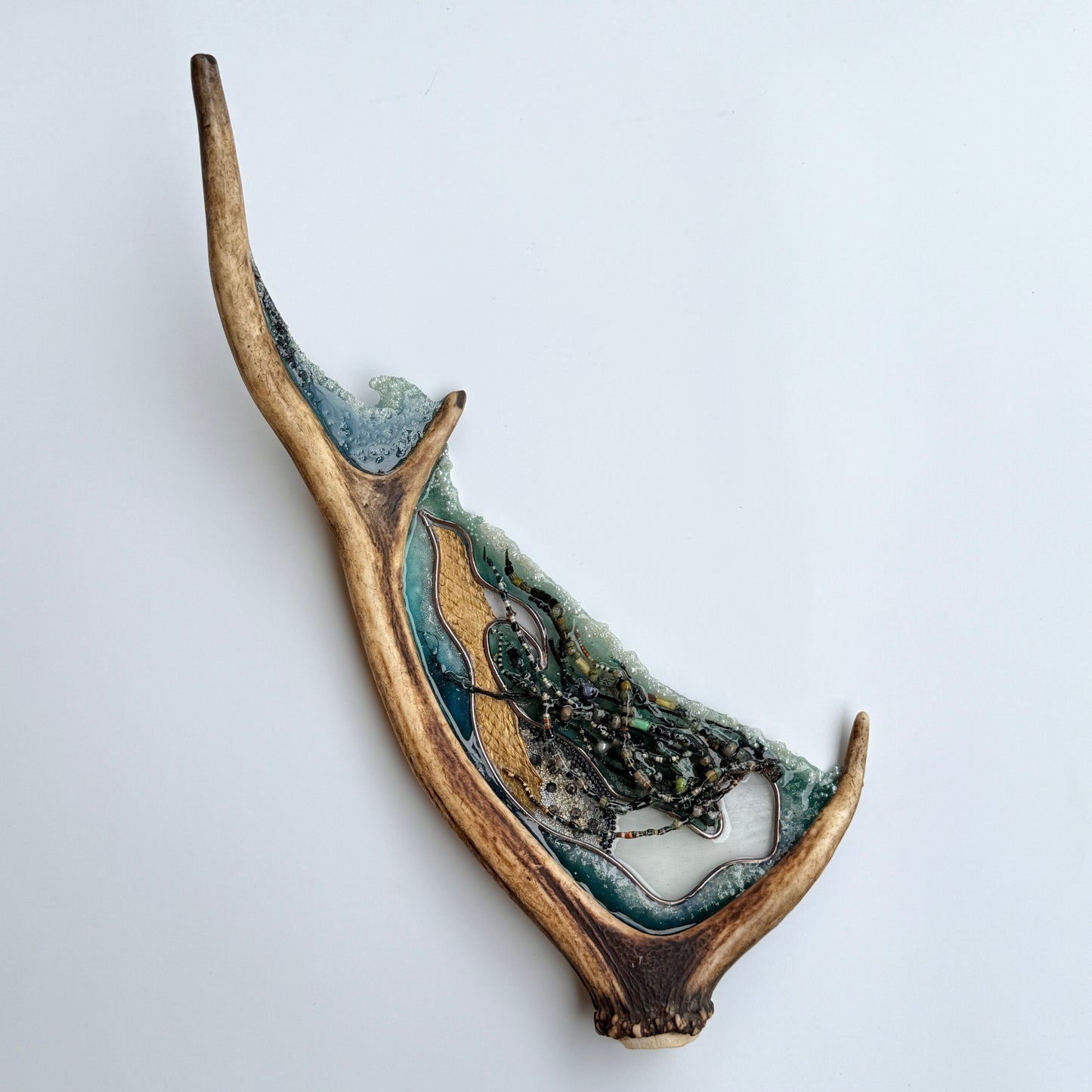 sedna in antler