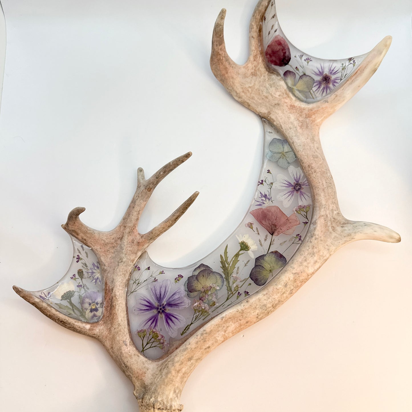Antler Piece 1